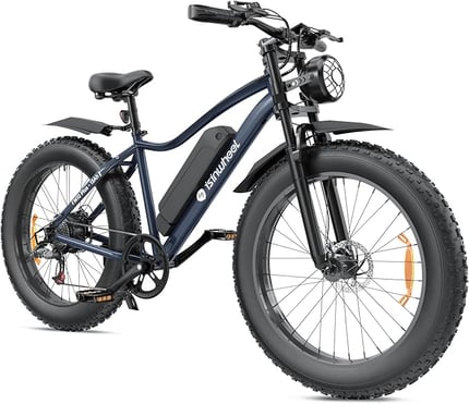isinwheel ebike_
